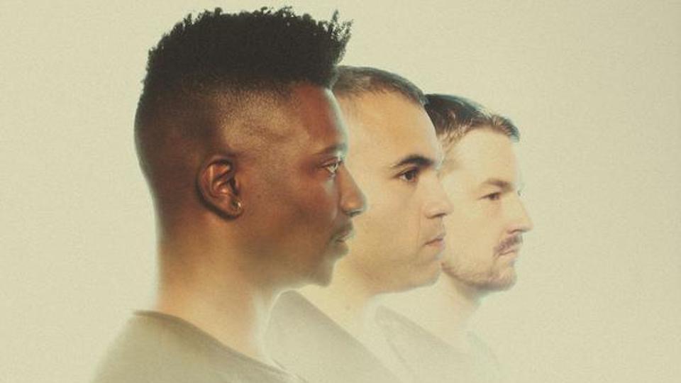 animals as leaders 2019