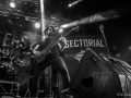 00sectorial06